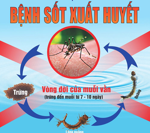 Phun thuốc diệt muỗi tại nhà 