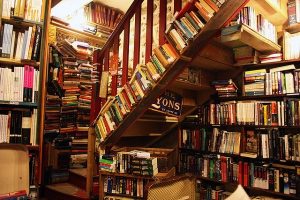 diệt mối cửa hàng sách